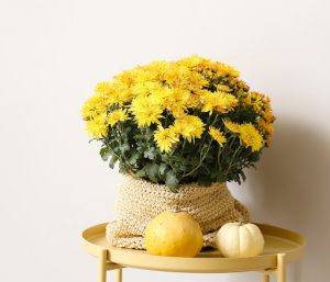 Corona di fiori per Halloween fiori gialli