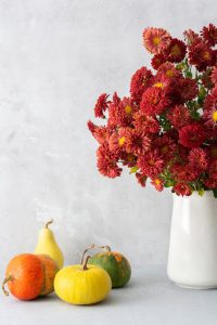 crisantemi arancioni in vaso bianco fiori per halloween