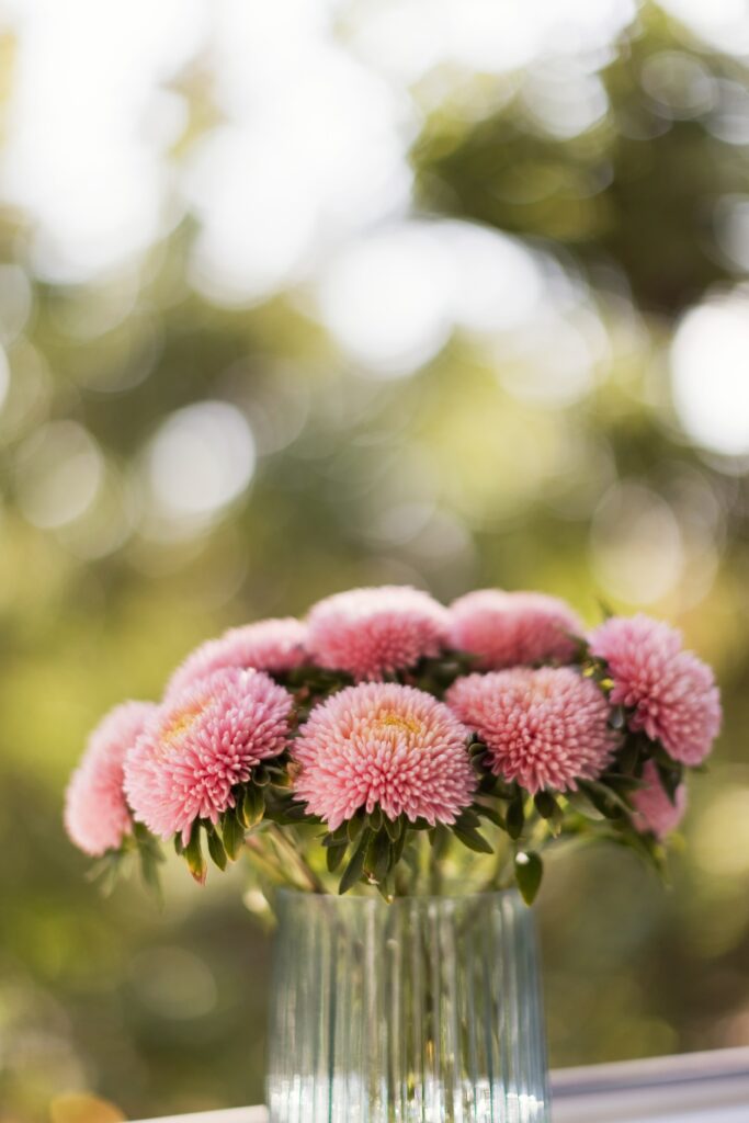 Fiori per cimitero.