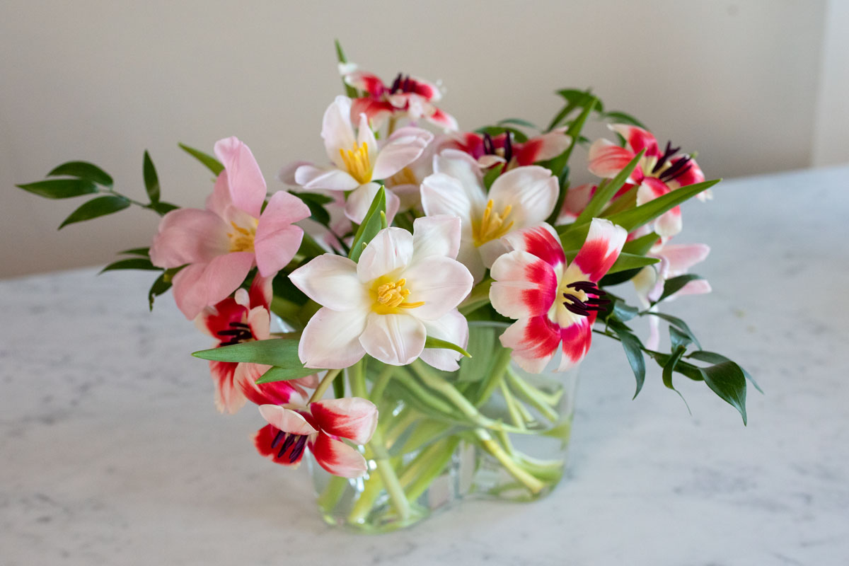 Tulipani colorati recisi in vaso di vetro