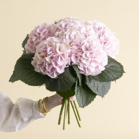 Bouquet di ortensie rose per la festa della mamma
