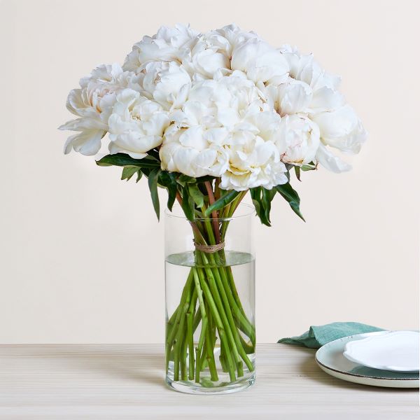 Bouquet di peonie bianche
