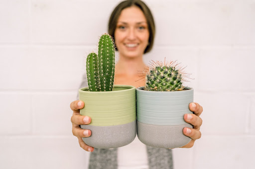 Ragazza che tiene due cactus in vaso e sorride