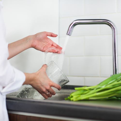 cambiare l’acqua dei tulipani in vaso