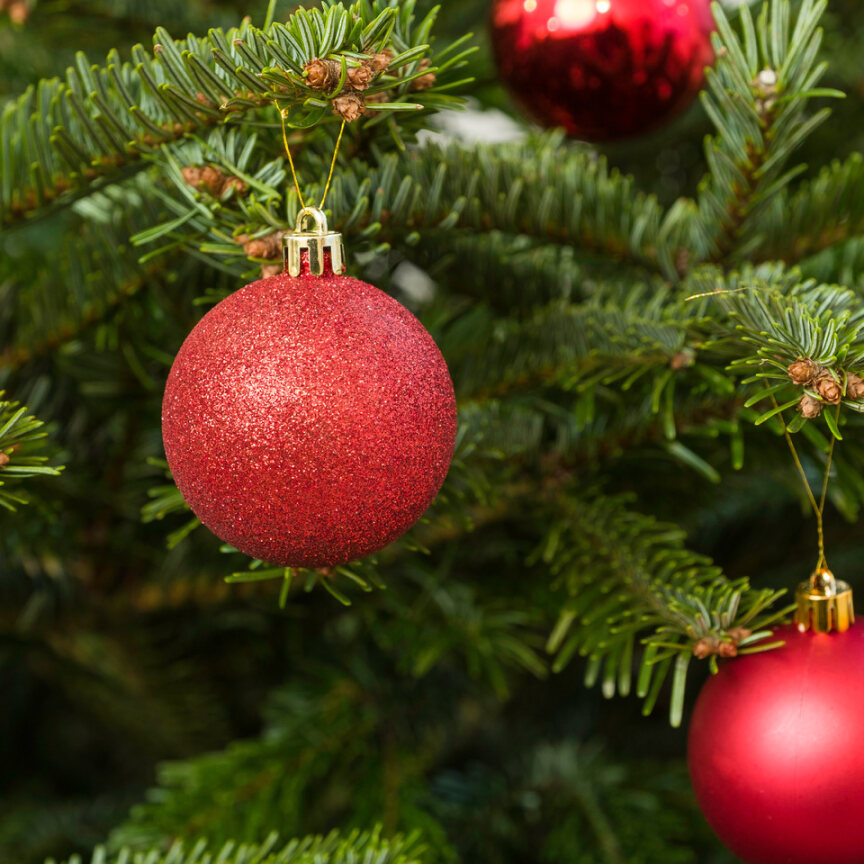 Palline rosse appese all'albero di Natale, uno dei colori tradizionali per decorare l'albero.