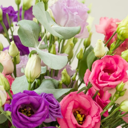 primo piano di un bouquet di lisianthus rosa, viola, bianchi con elementi naturali verdi