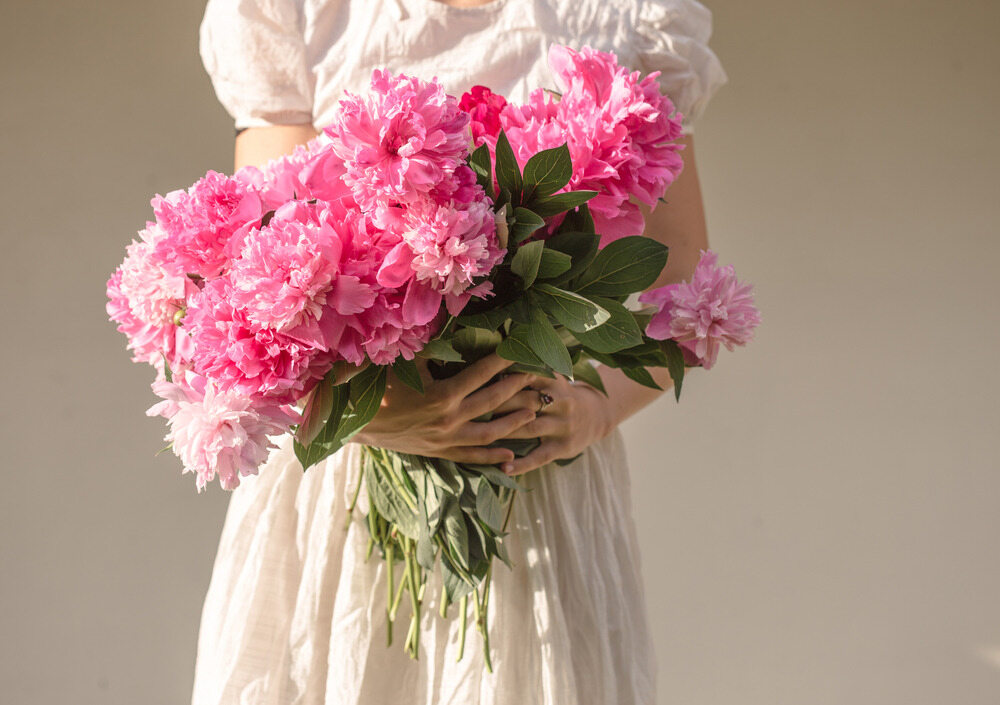peonia lactiflora rosa che viene tenuto in mano da una ragazza con un vestito bianco