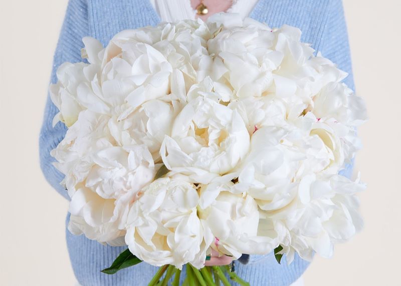 Bouquet di peonie bianche