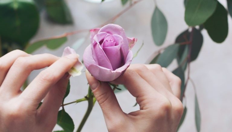 Cosa fare con i petali di rosa appassiti? 3 soluzioni