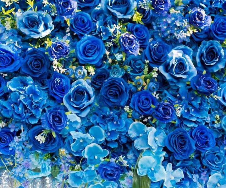 Rose blu: significato e segreti di questo fiore misterioso