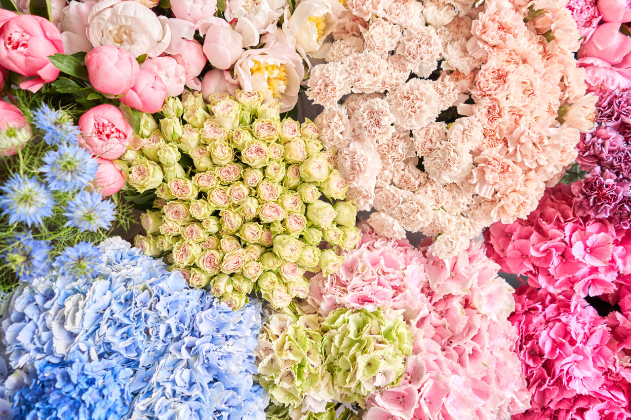 significato dei fiori in base al colore, copertina con fiori di tanti tipi e colori: celesti, gialli, rosa e fucsia