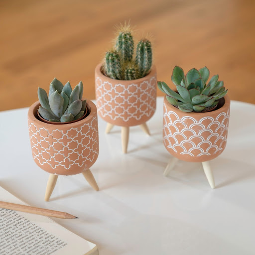 tris di cactus in vasi in ceramica sopra il tavolo